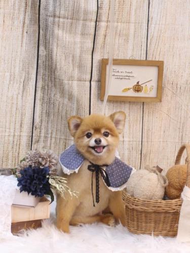 20241031のんちゃん